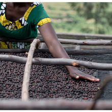 Load image into Gallery viewer, RWANDA (Akagera)