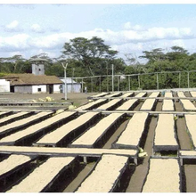 Load image into Gallery viewer, TANZANIA (Arusha)