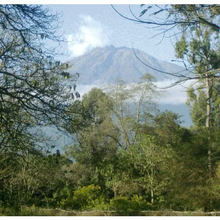 Load image into Gallery viewer, TANZANIA (Arusha)