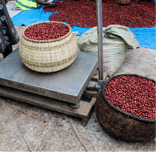 Load image into Gallery viewer, UGANDA (COFFEE KING)