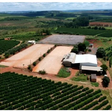 Load image into Gallery viewer, Brazil (Eagle Monte Carmelo)