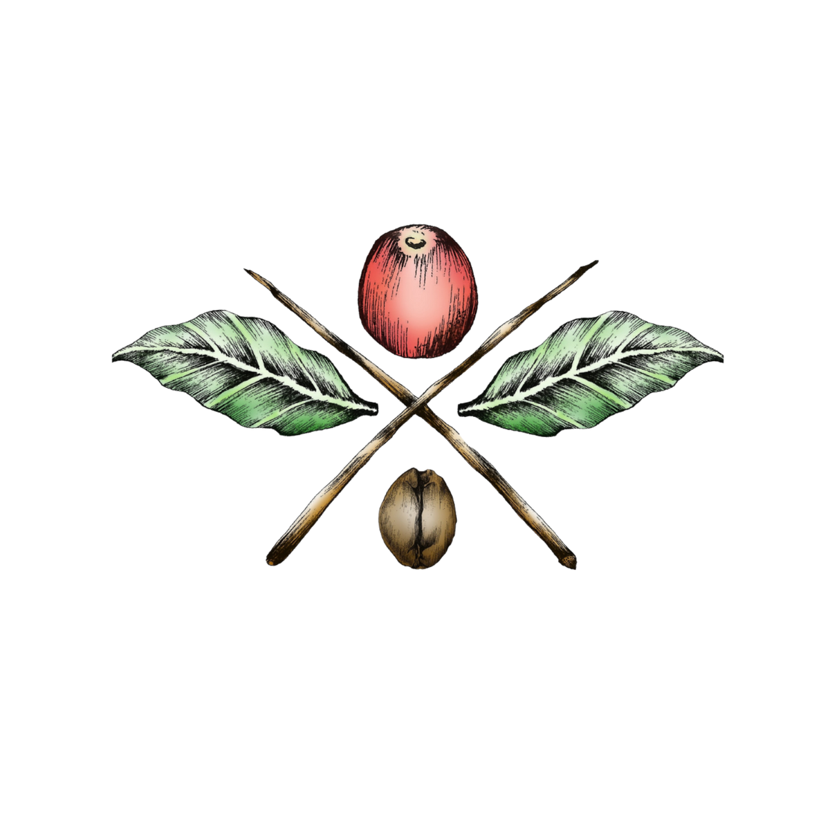 Broadway Coffee Roasters logo